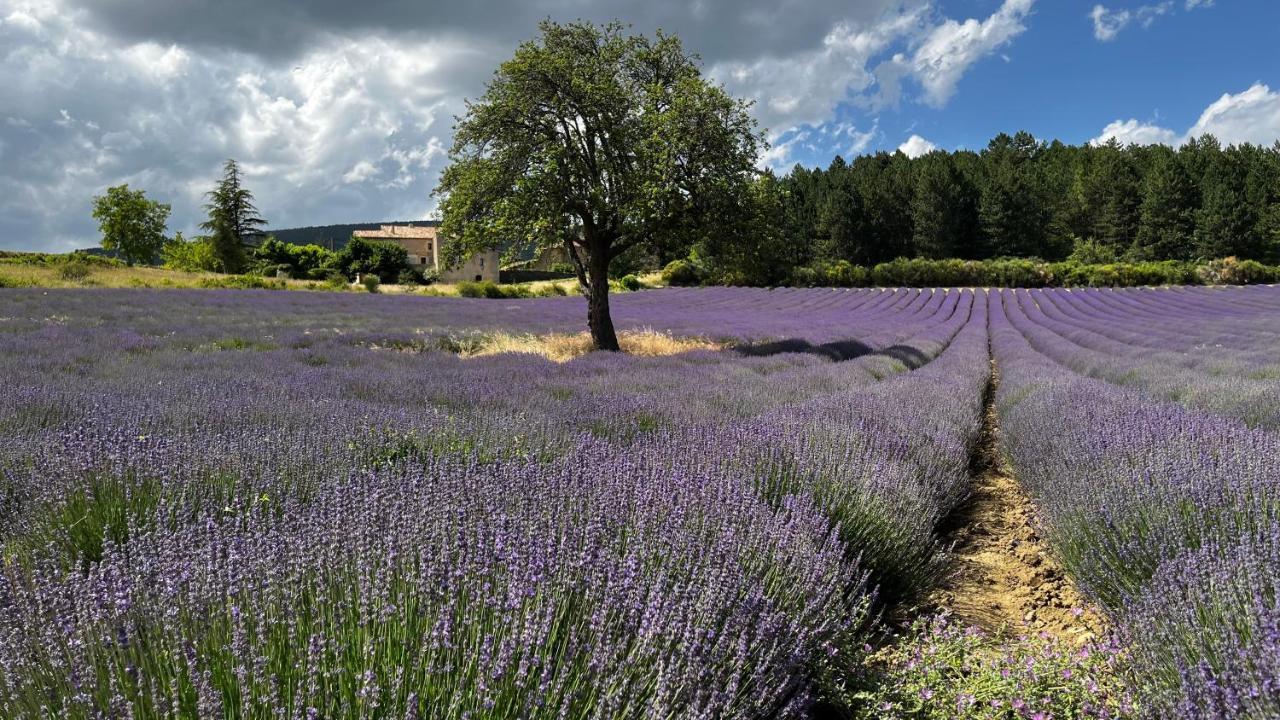 Bed and Breakfast Santolines en Provence Piolenc Esterno foto