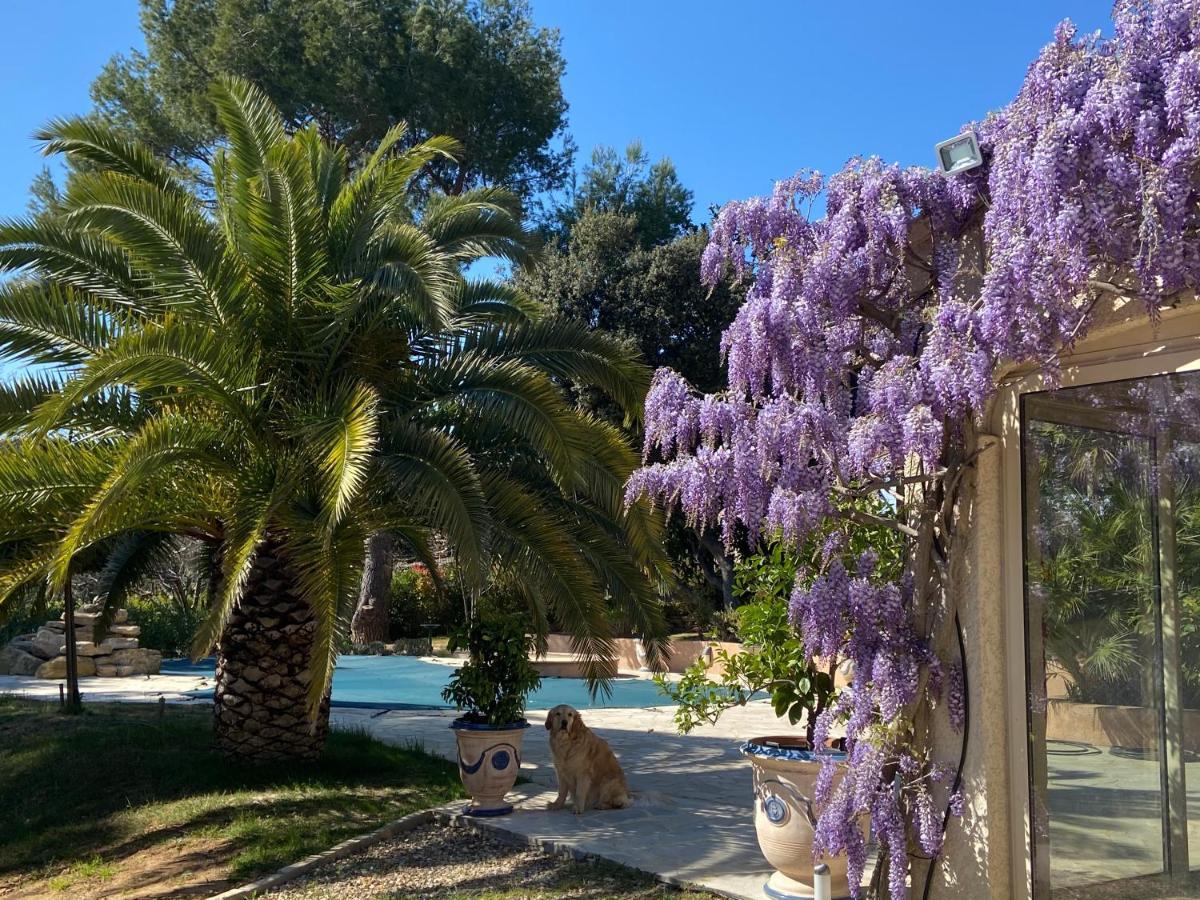 Bed and Breakfast Santolines en Provence Piolenc Esterno foto