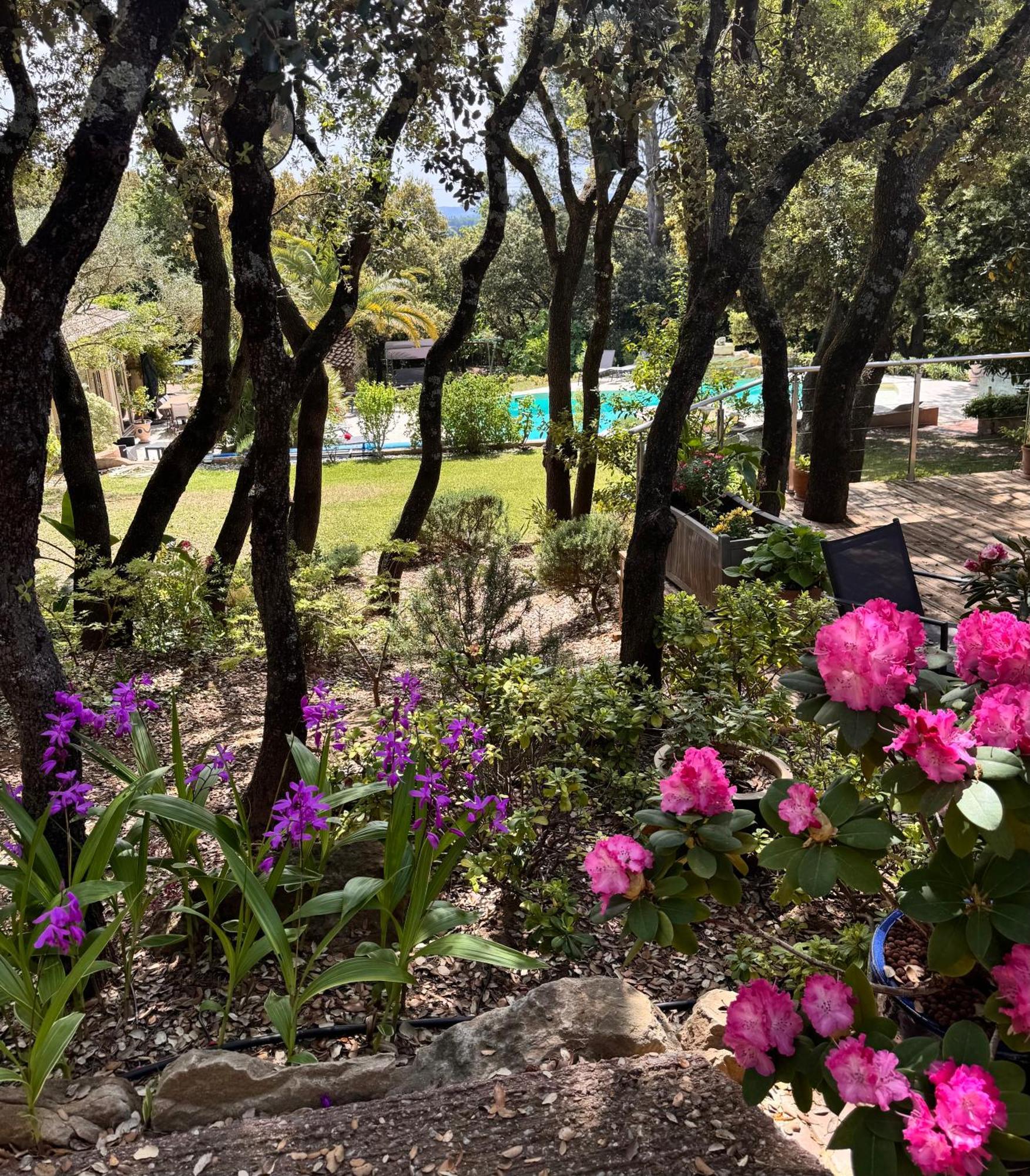 Bed and Breakfast Santolines en Provence Piolenc Esterno foto